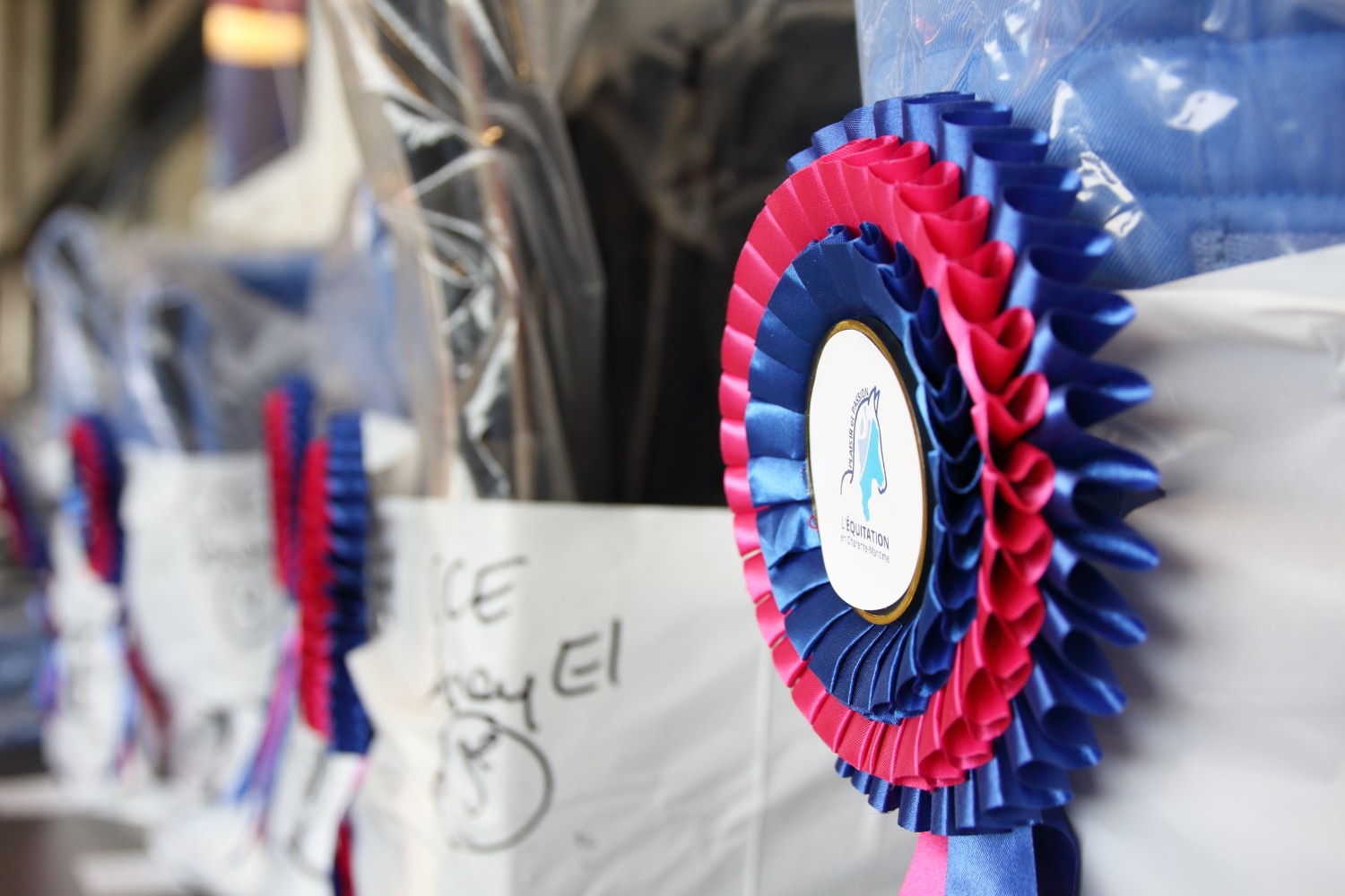 flot avec le logo du CDE17