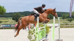 Stage de Hunter avec Pierre Salaün @ Les cavaliers du plaisir