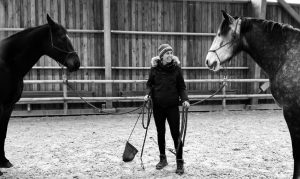 Formation "intégrer l'éthologie dans sa pratique professionnelle" avec Hélène Renard @ La maison du poney