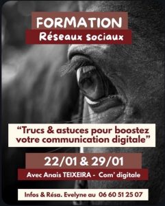 Formation "Boostez votre communication digitale" @ maison des sports de Saintes